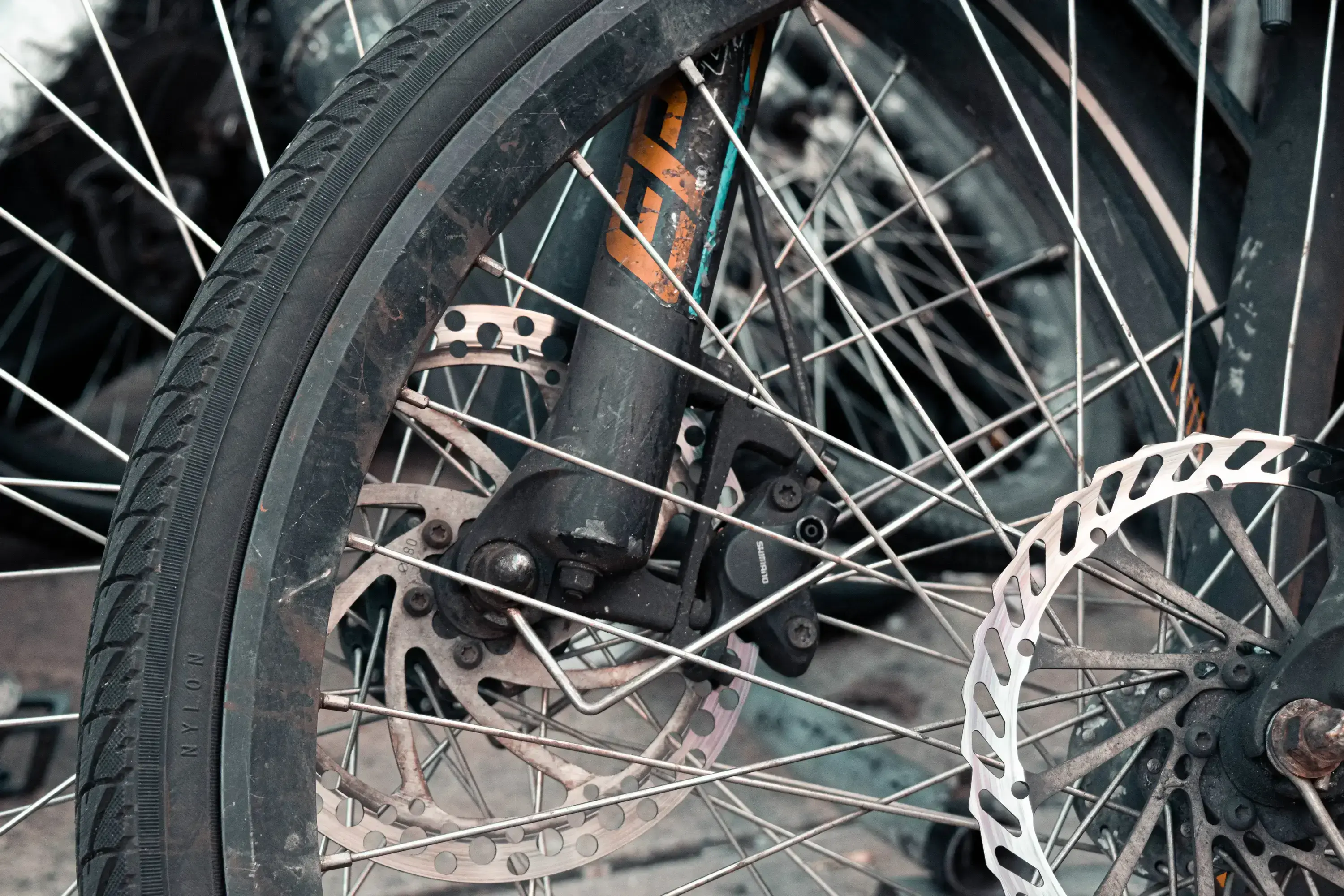 tire.webp